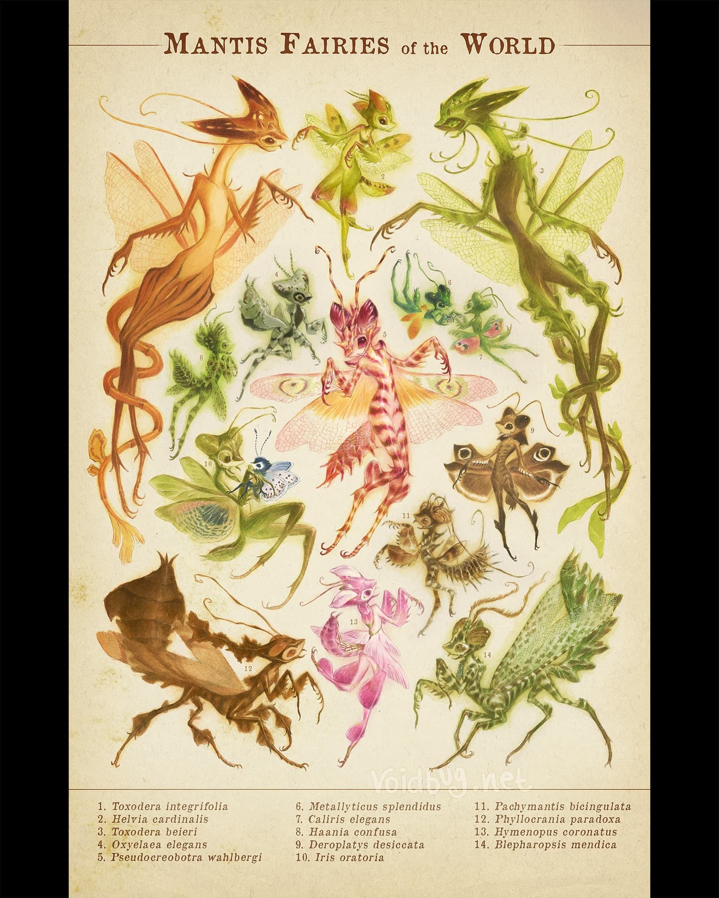 Malina Dowling portfolio work 1