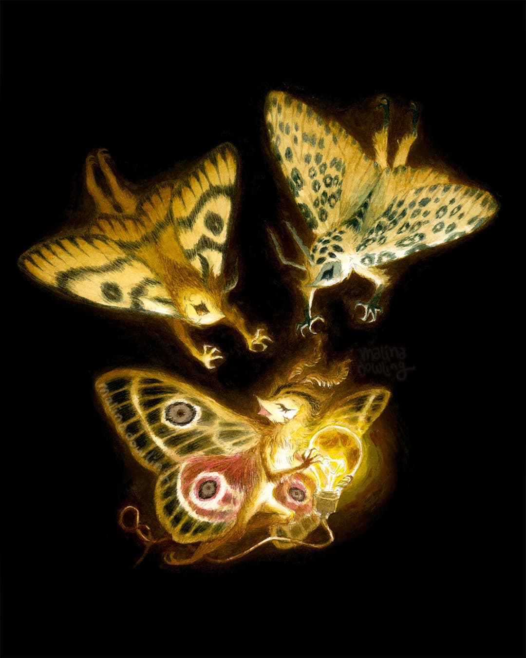 Malina Dowling portfolio work 6